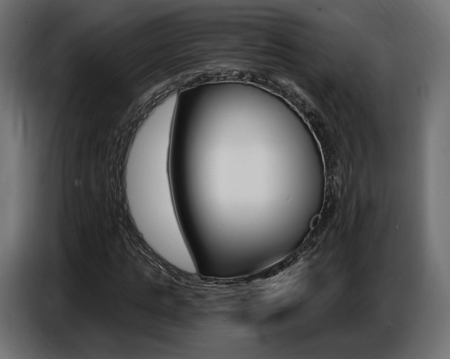 X0000086800821200704130858