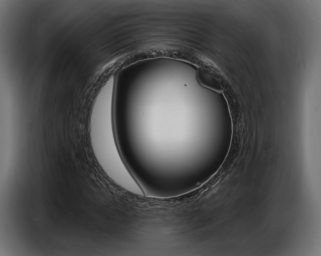 X0000086800822200704130858