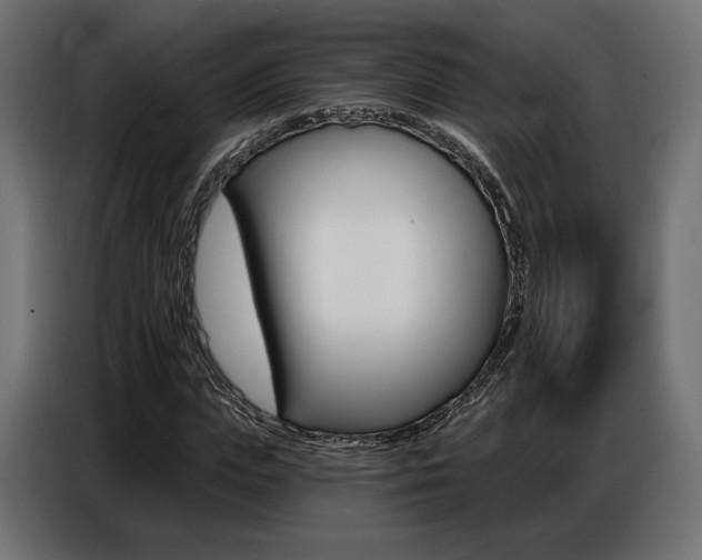 X0000086800823200704130858
