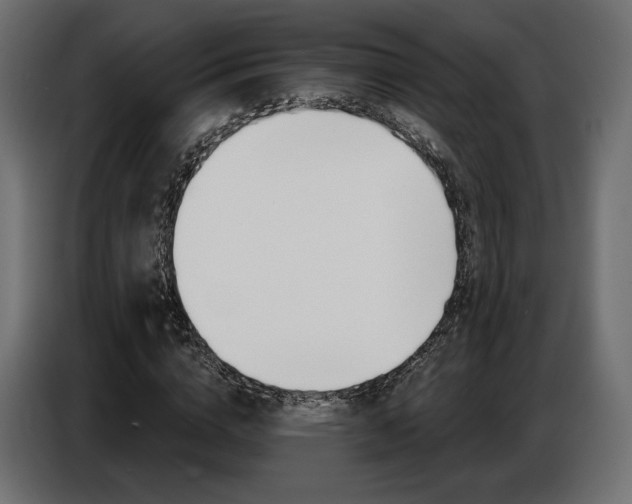 X0000086800824200704130858