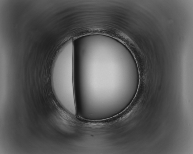 X0000086800825200704130858