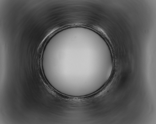 X0000086800827200704130858