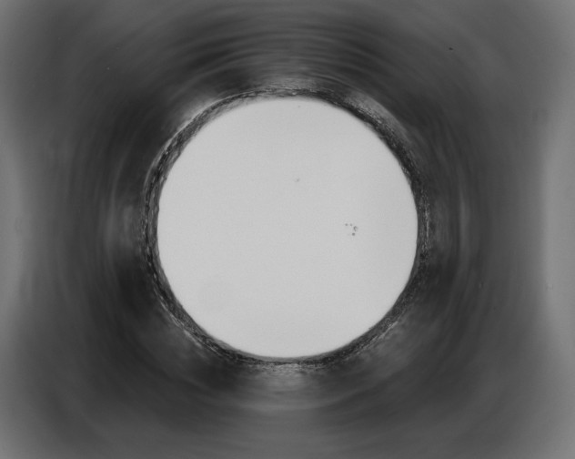 X0000086800828200704130858
