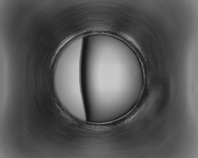 X0000086800829200704130858