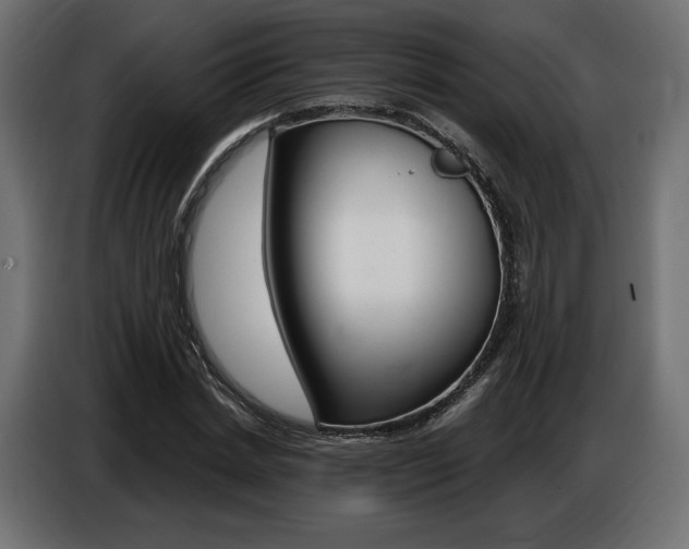 X0000086800830200704130858