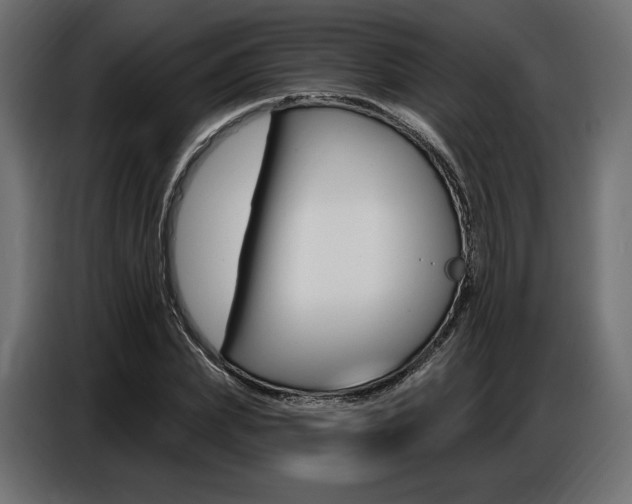 X0000086800831200704130858