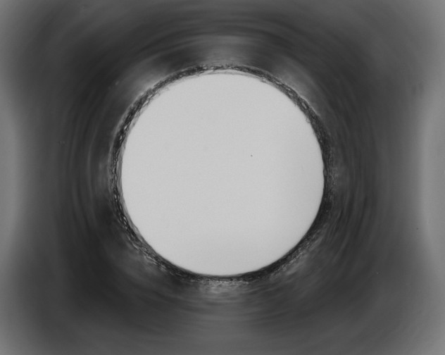 X0000086800832200704130858