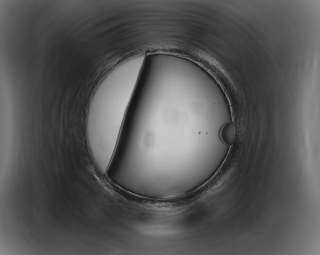 X0000086800833200704130858