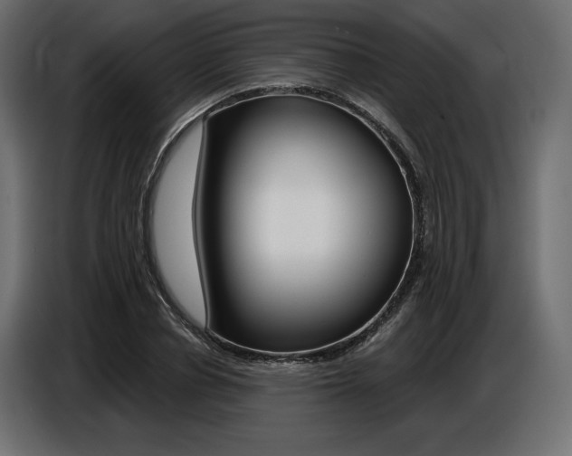 X0000086800834200704130858