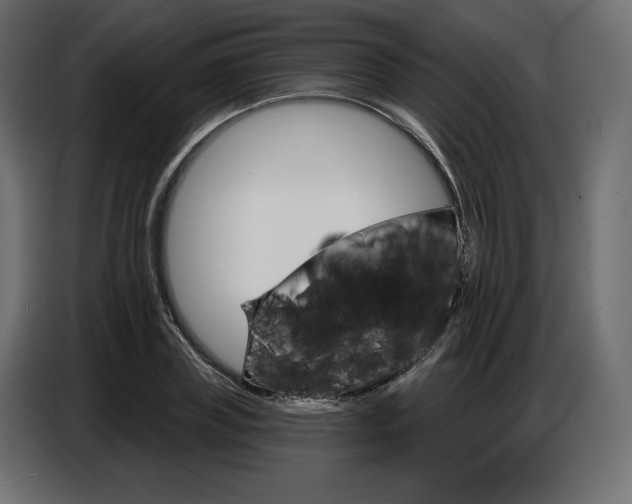 X0000086800835200704130859