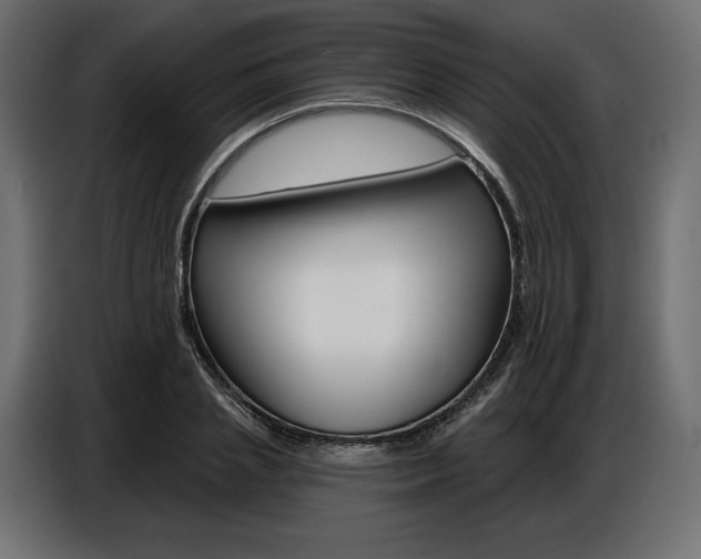 X0000086800837200704130859