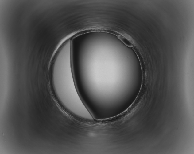 X0000086800838200704130859