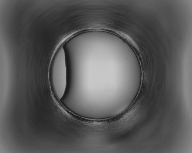 X0000086800839200704130859