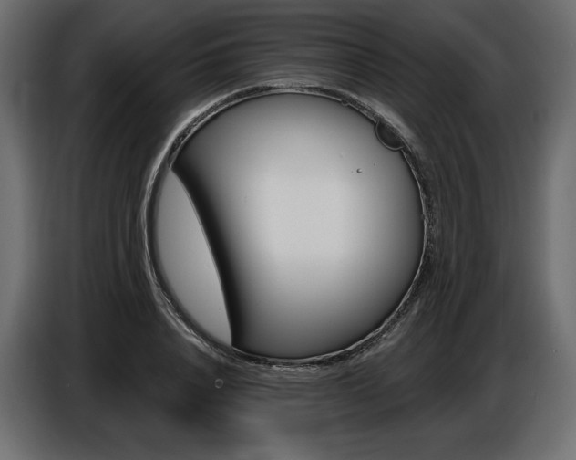 X0000086800840200704130859