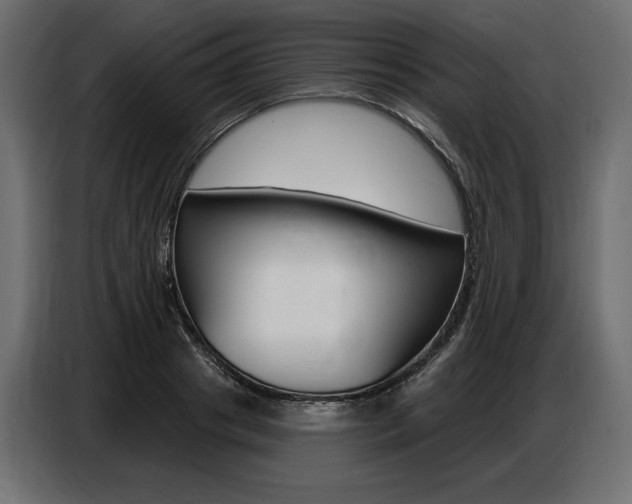 X0000086800841200704130859