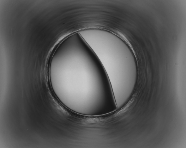 X0000086800843200704130859