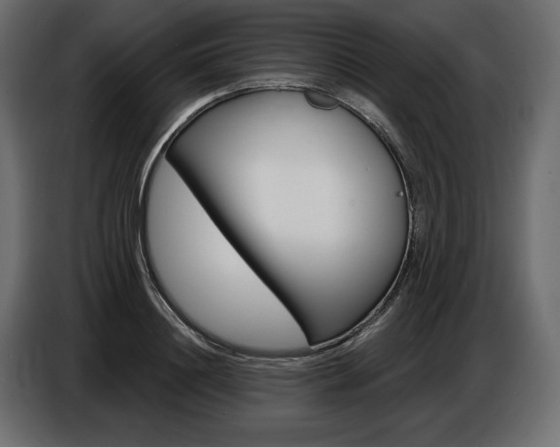 X0000086800844200704130859
