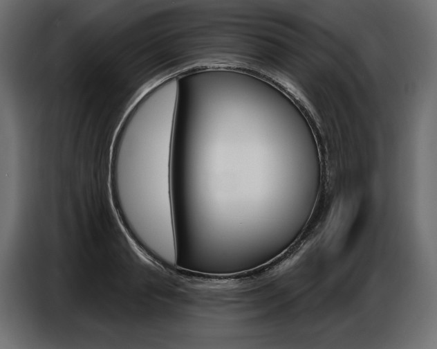 X0000086800845200704130859