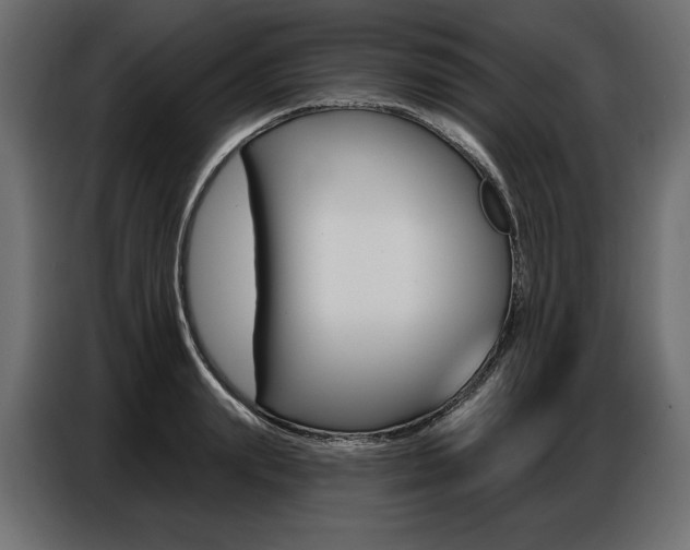 X0000086800847200704130859