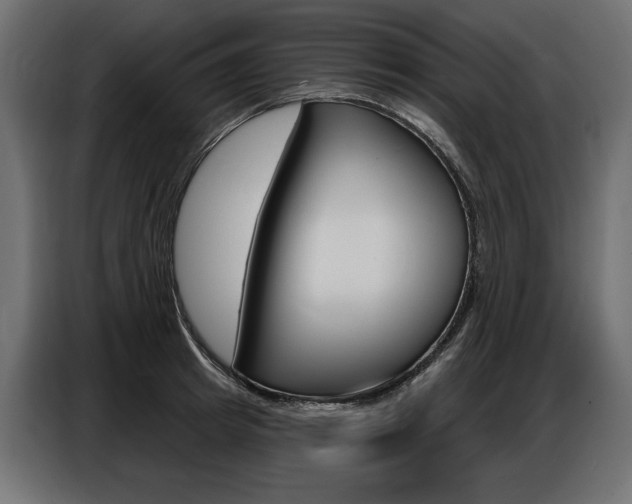 X0000086800849200704130859