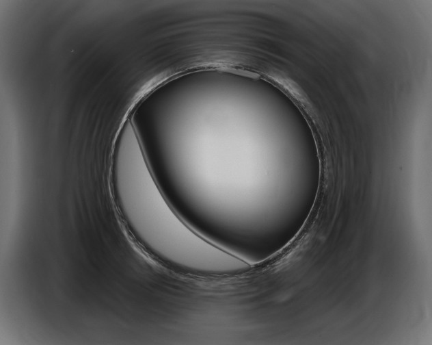X0000086800850200704130859