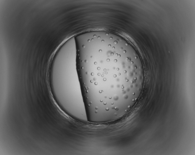 X0000086800851200704130859