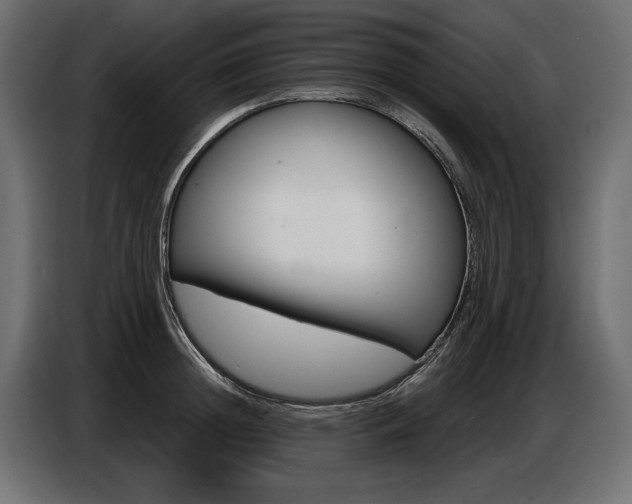 X0000086800852200704130859