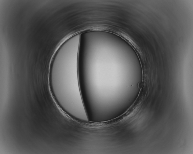 X0000086800853200704130859