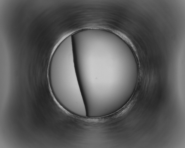 X0000086800855200704130859