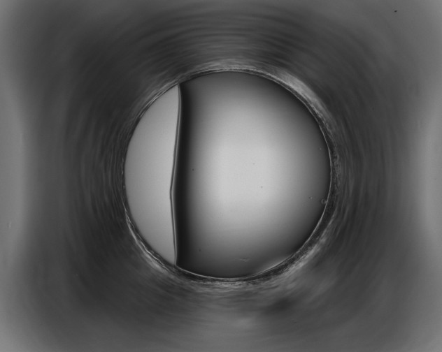 X0000086800857200704130859