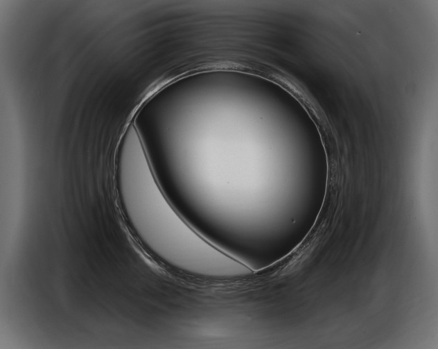 X0000086800858200704130859