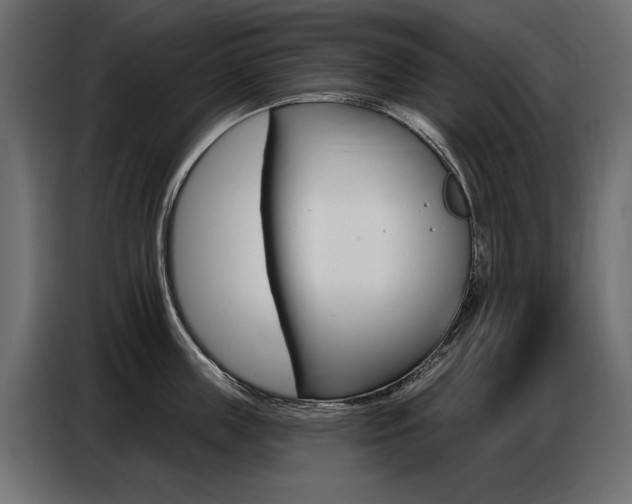X0000086800859200704130859