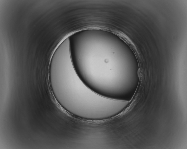 X0000086800860200704130859