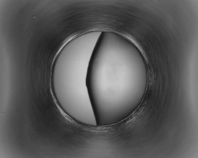 X0000086800861200704130859