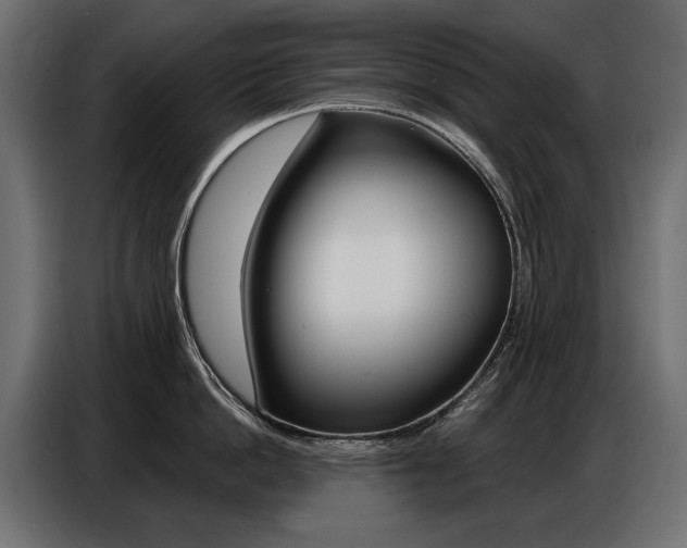 X0000086800862200704130859