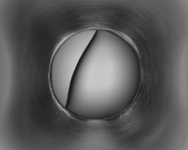 X0000086800863200704130859