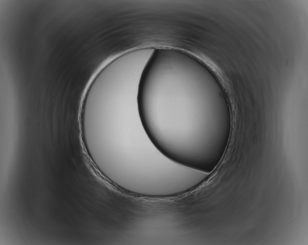 X0000086800864200704130859