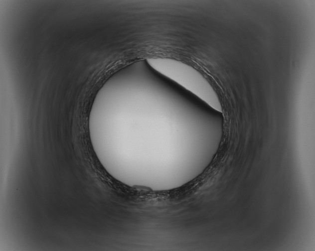 X0000086800865200704130858