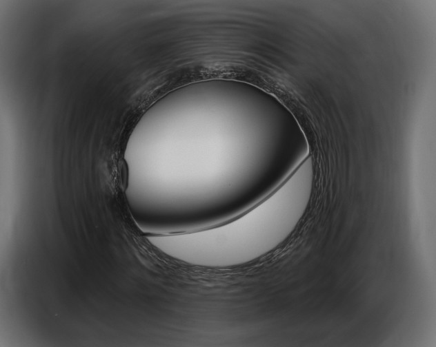 X0000086800868200704130858