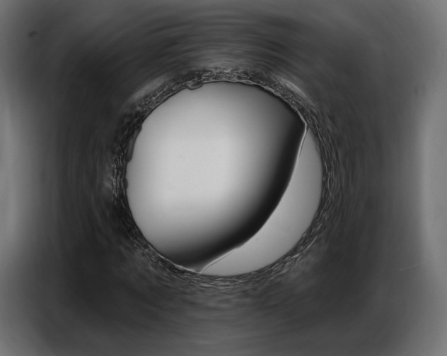 X0000086800869200704130858