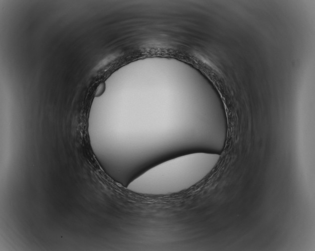 X0000086800870200704130858