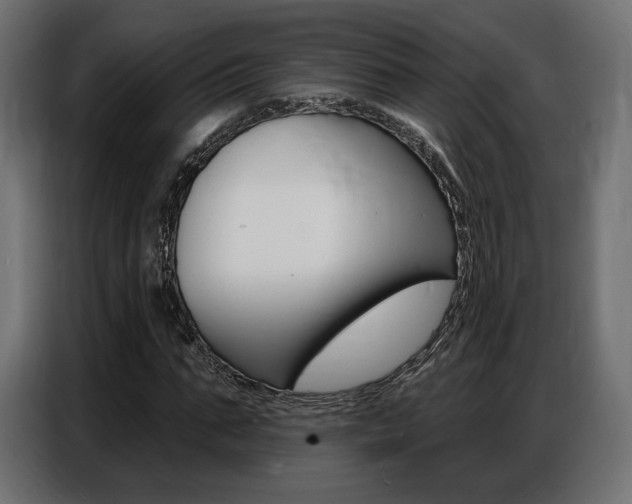 X0000086800871200704130858