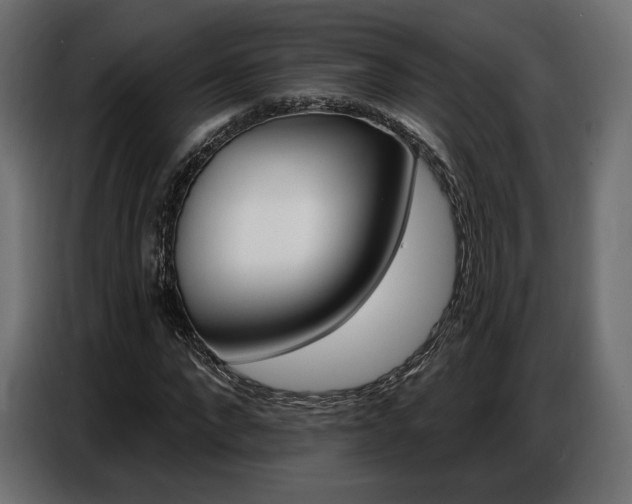 X0000086800872200704130858