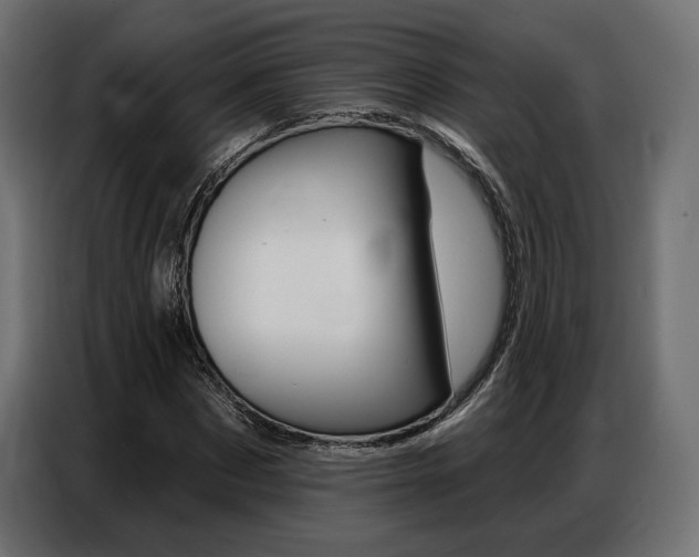 X0000086800873200704130858