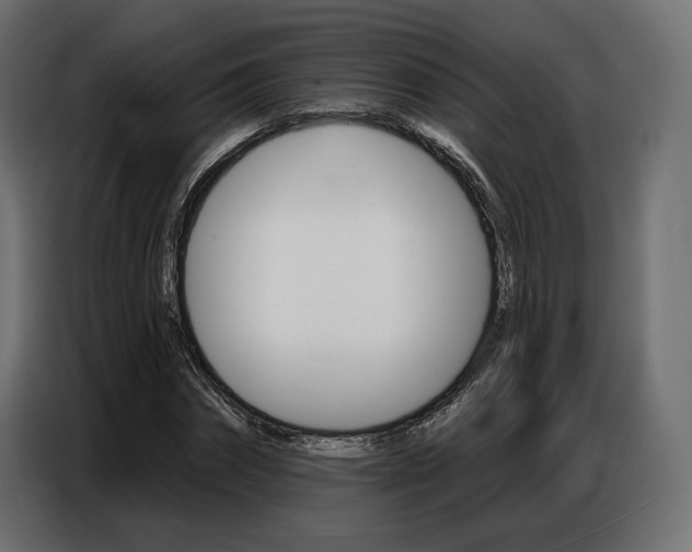 X0000086800874200704130858