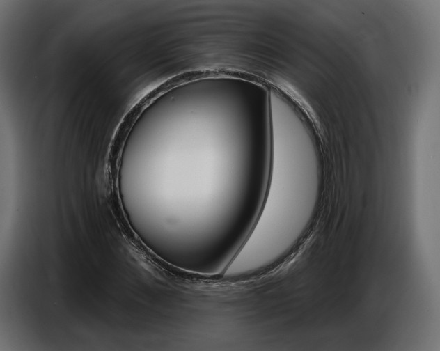 X0000086800876200704130858