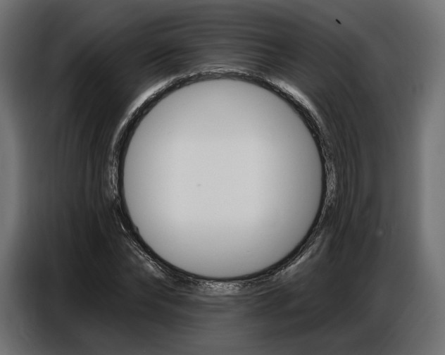 X0000086800878200704130858