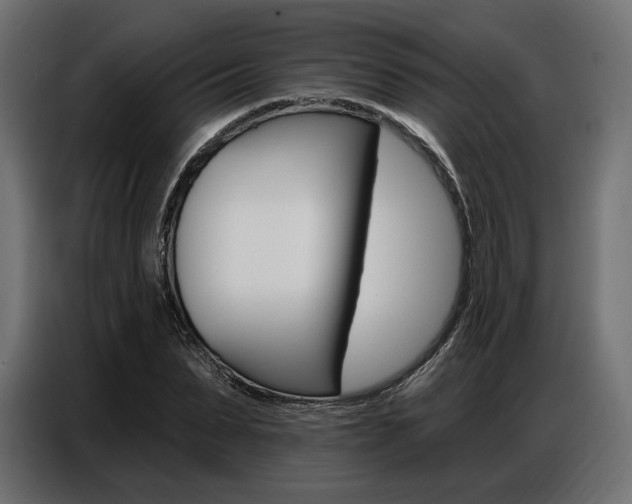 X0000086800879200704130858