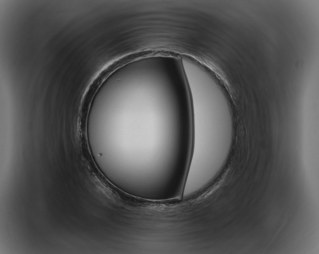 X0000086800880200704130858