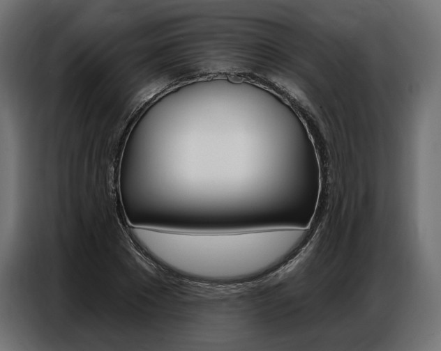 X0000086800881200704130858